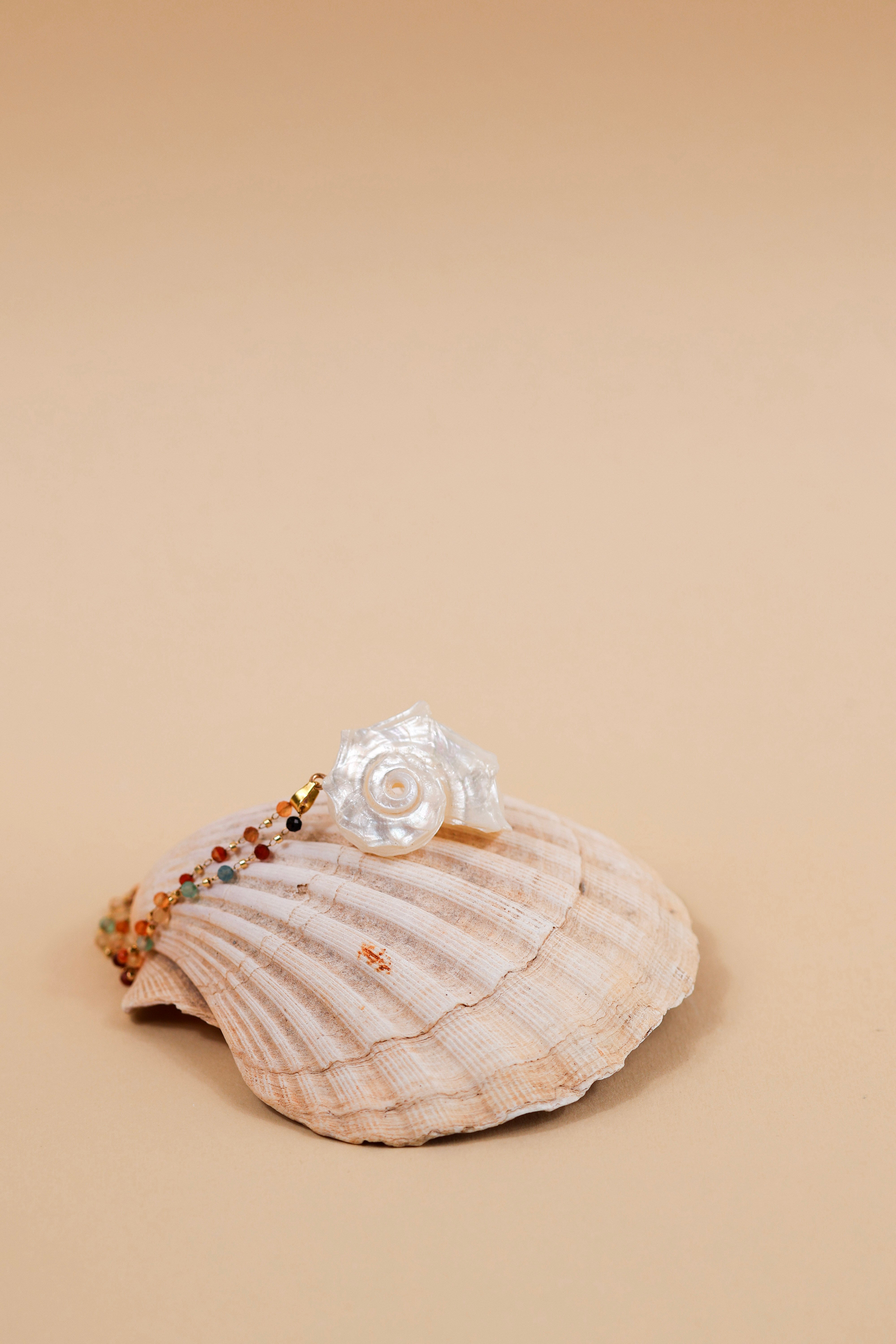 A white pearl-like rose brooch with a beaded chain, displayed on top of a natural scallop shell against a solid beige background.