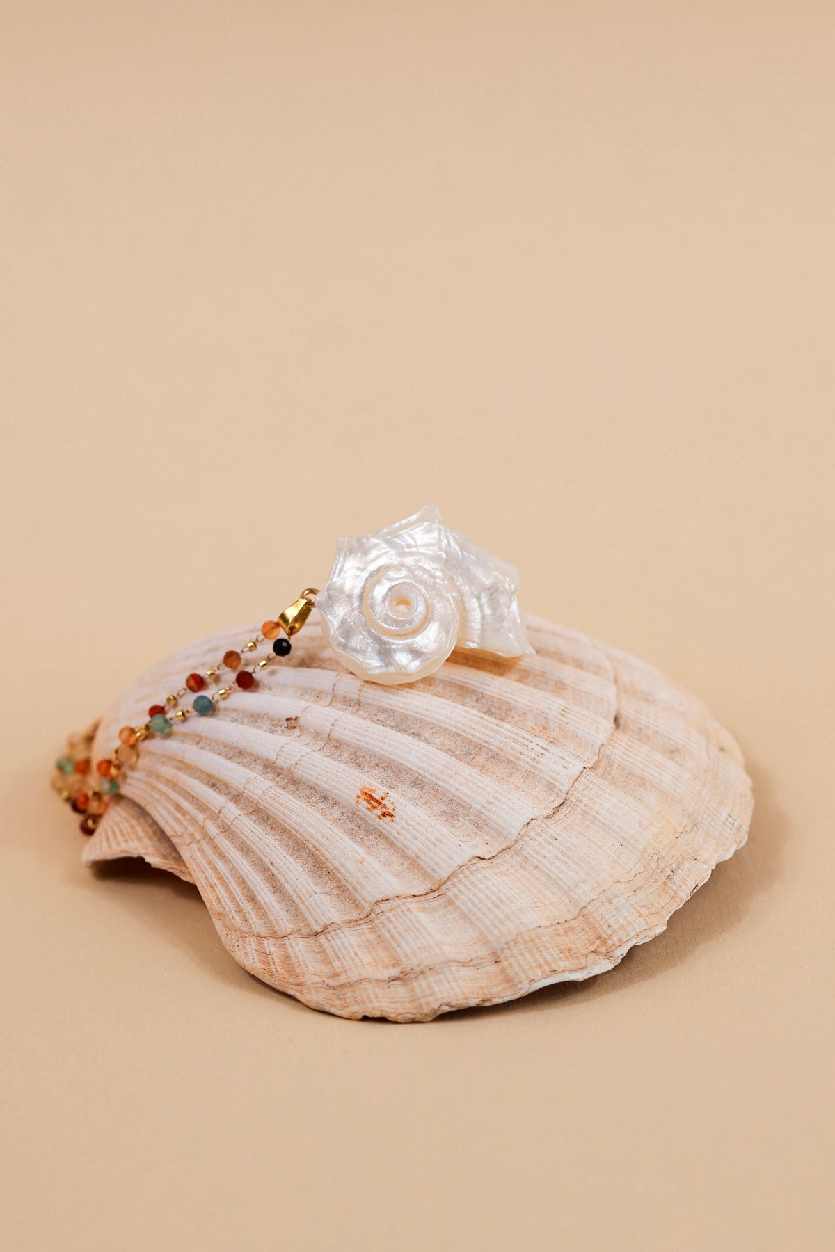 A white pearl-like rose brooch with a beaded chain, displayed on top of a natural scallop shell against a solid beige background.