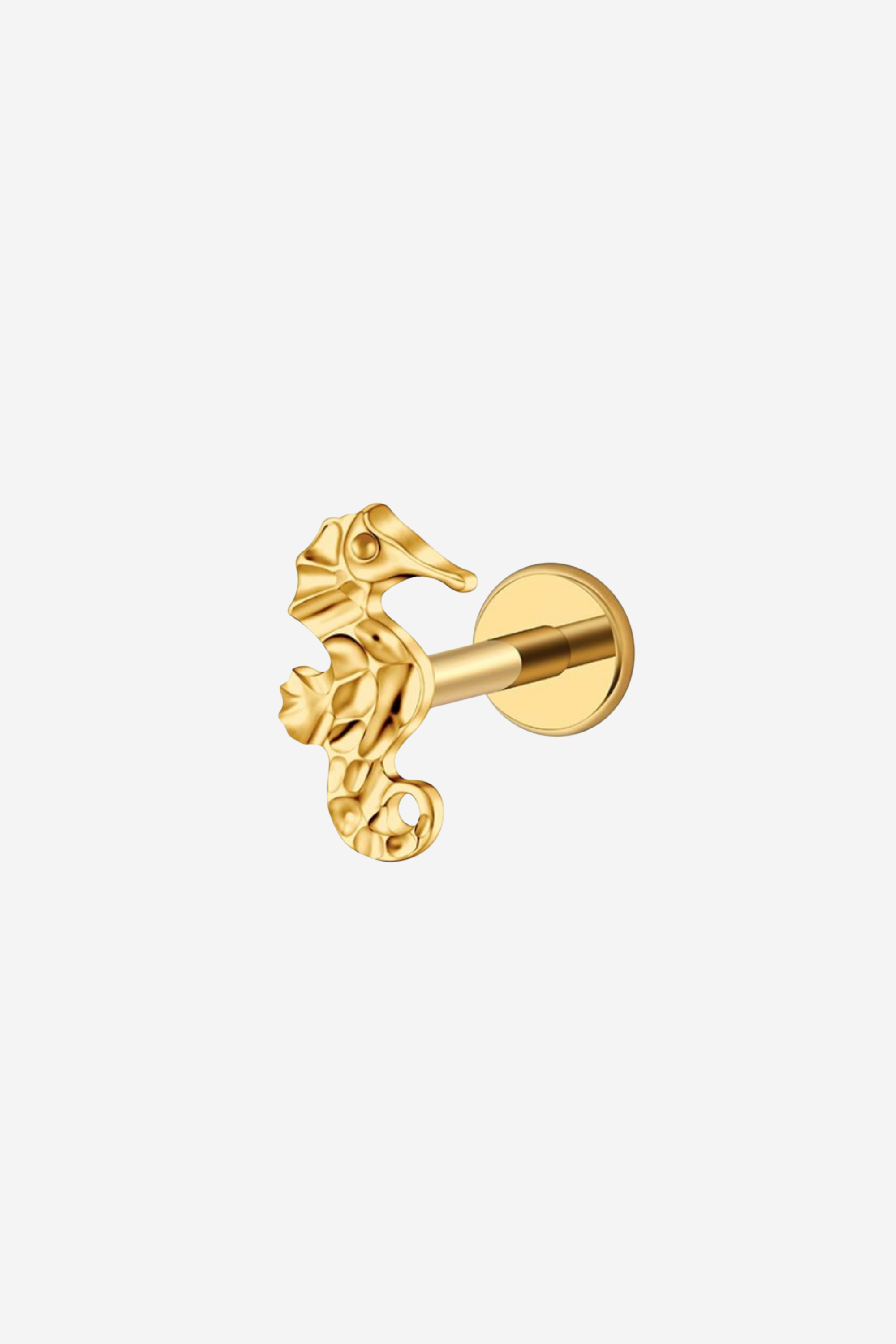 Piercing Cavalo Marinho em Titânio