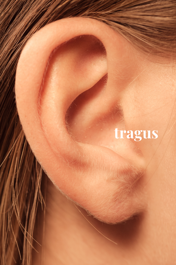 Piercings de Tragus