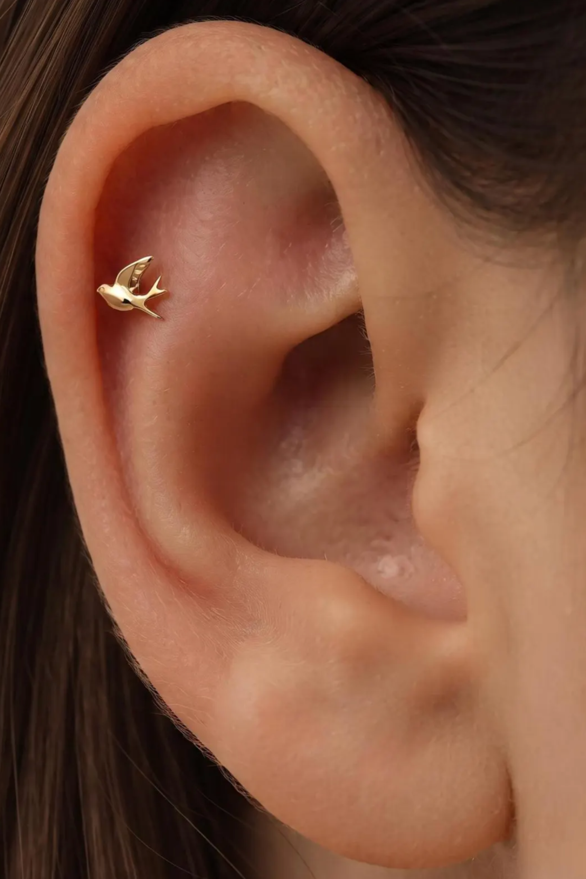 Piercing Andorinha em Titânio