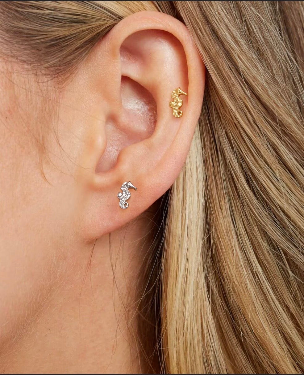 Seahorse Titanium Piercing