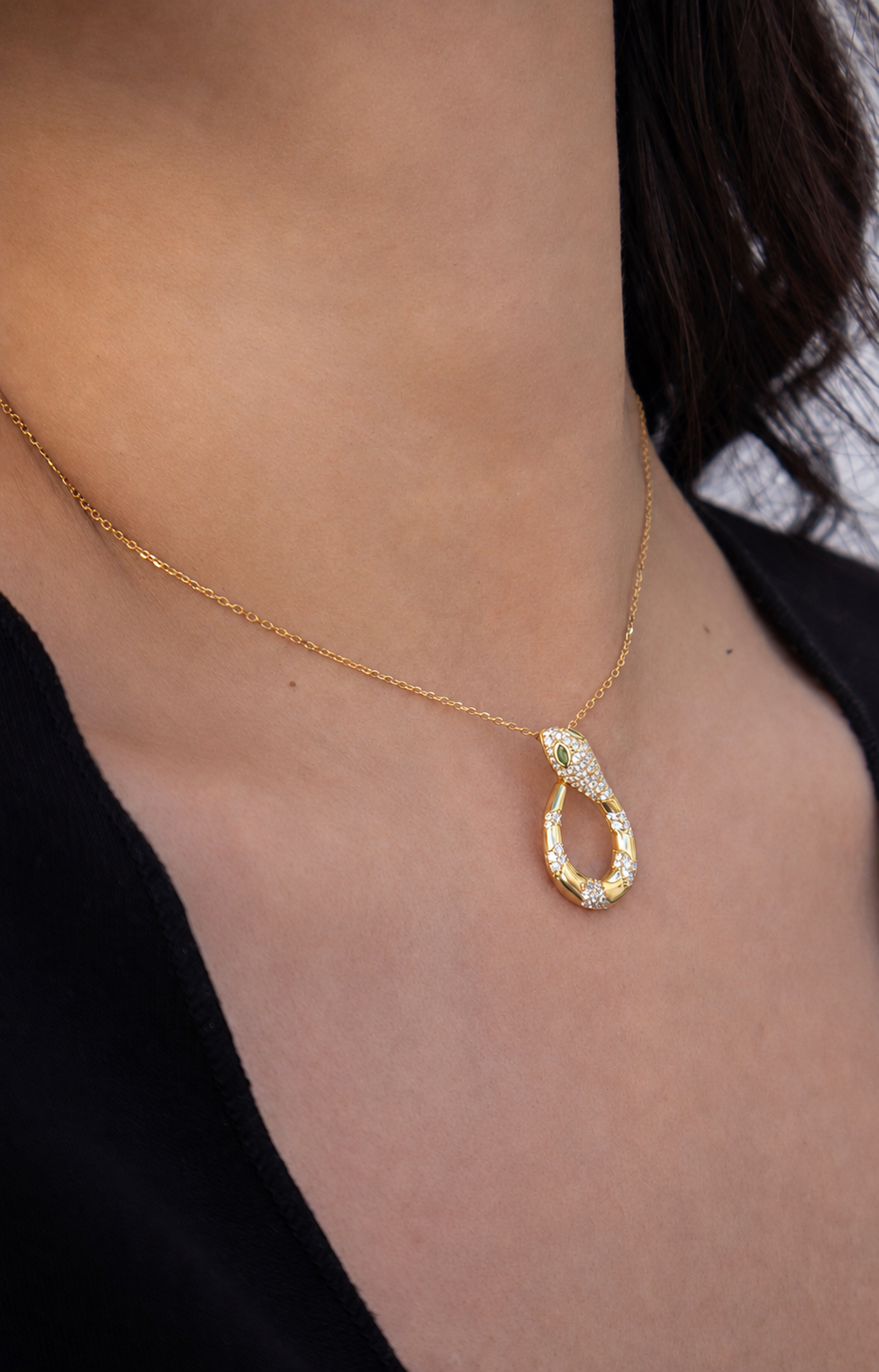 Snake Curve Necklace