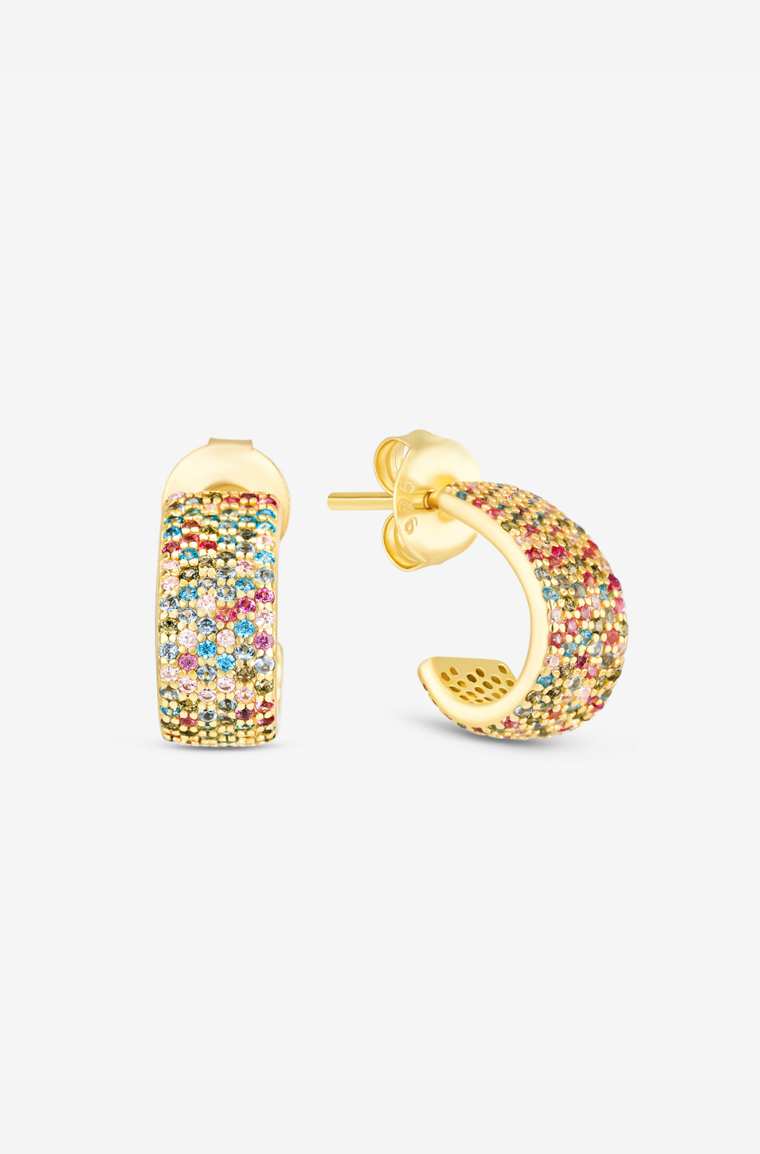 Multicolor Lush Earrings - Pair