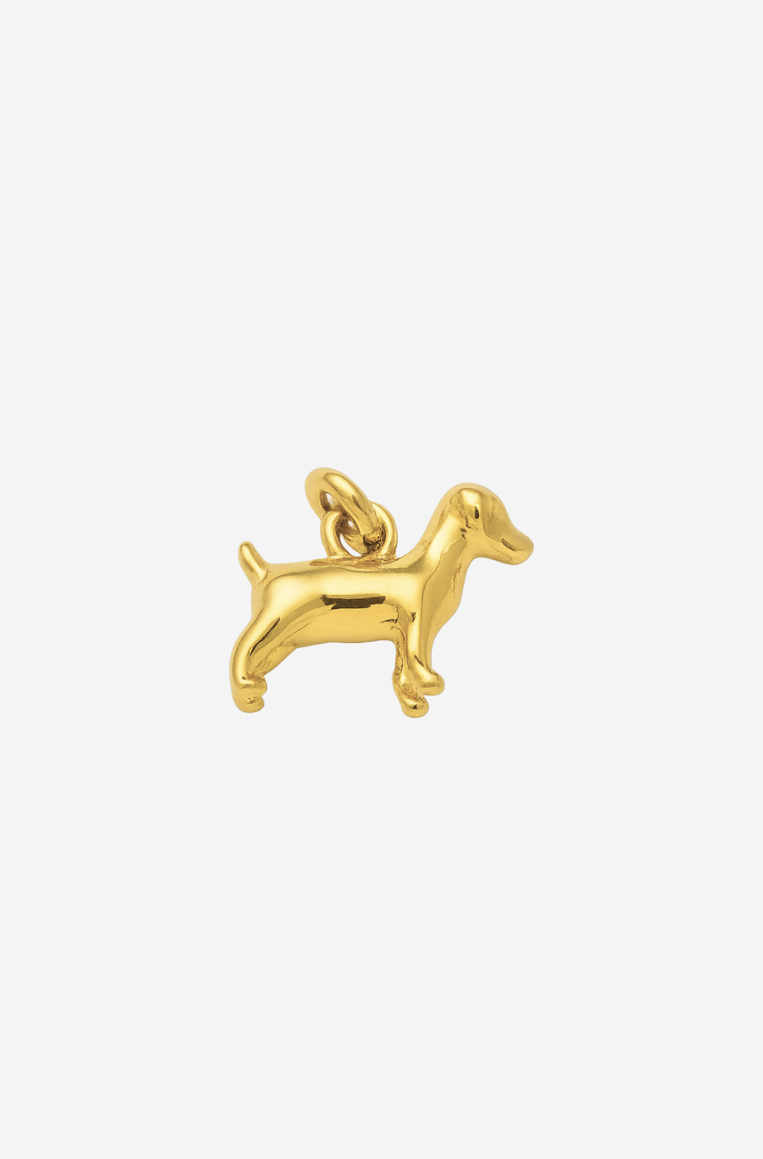 Dog Charm