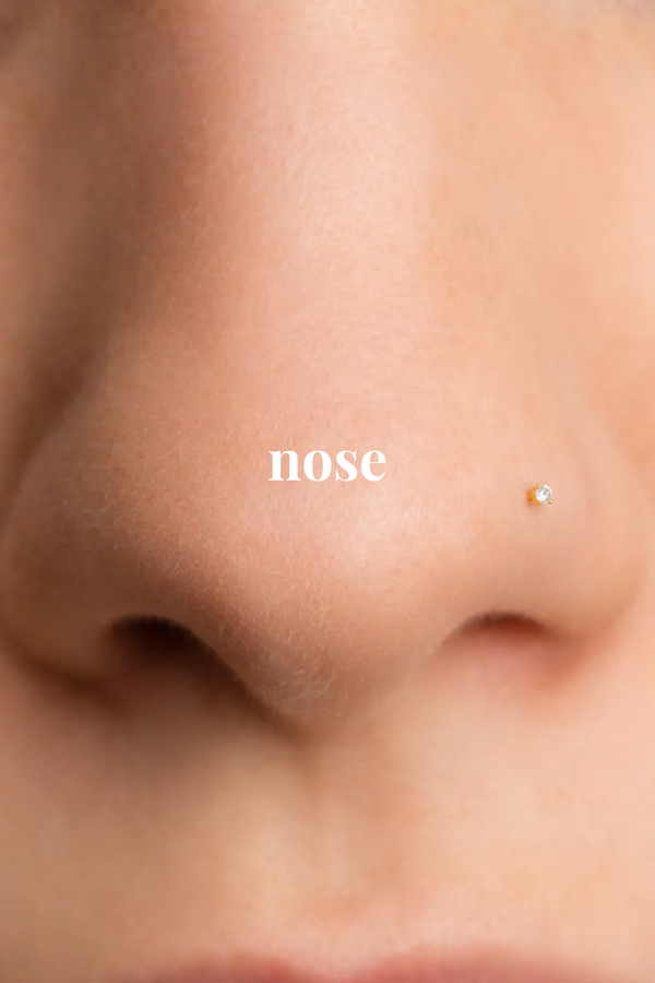 Piercings para o Nariz