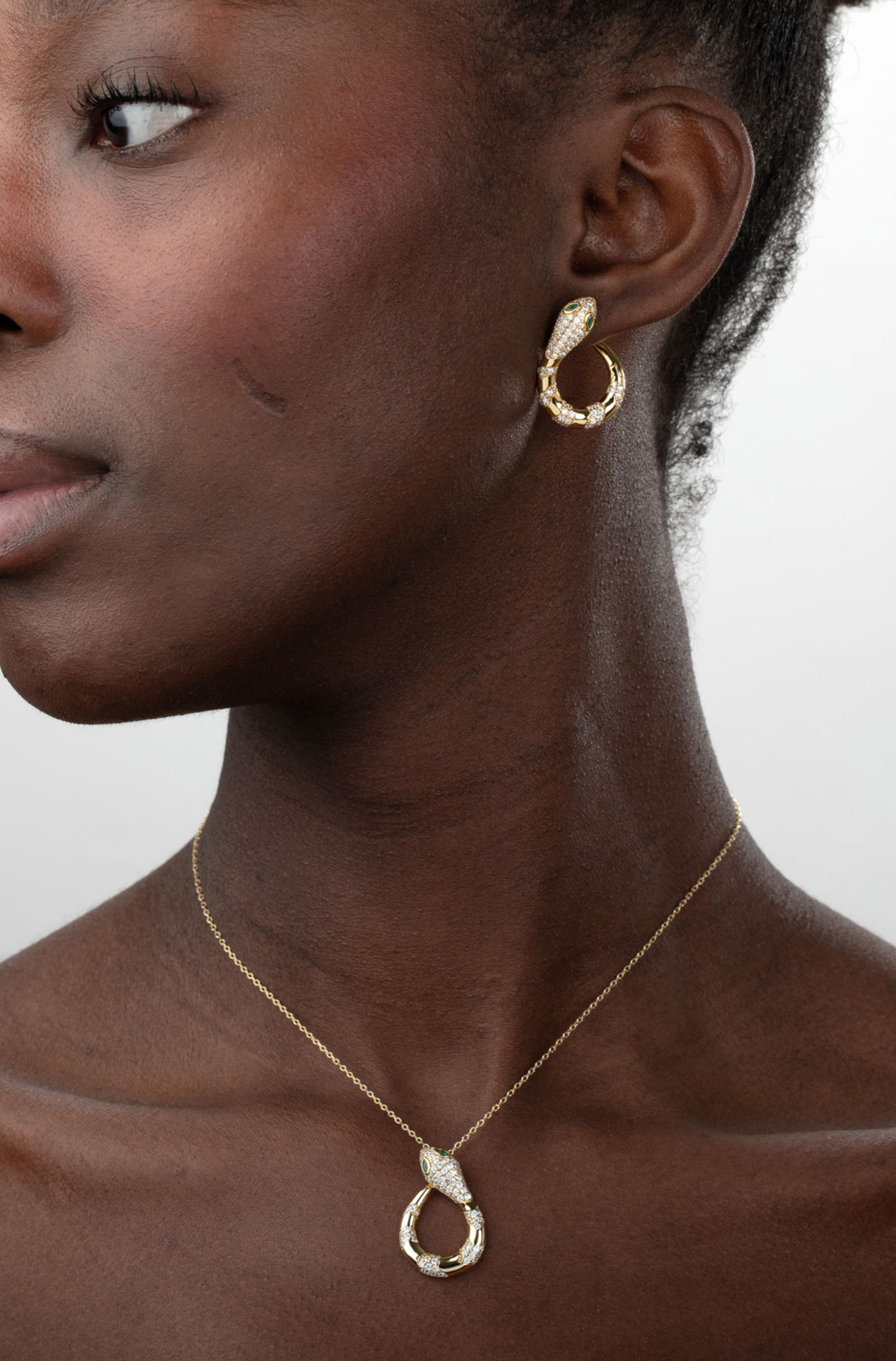 Snake curve Necklace